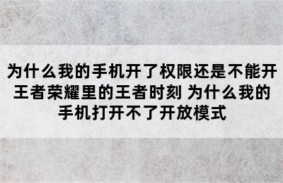 为什么我的手机开了权限还是不能开王者荣耀里的王者时刻 为什么我的手机打开不了开放模式